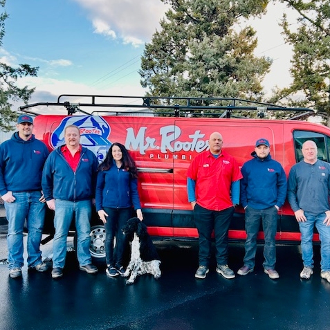 Meet the Team