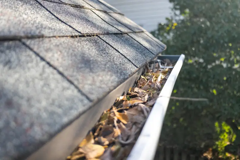 Leaves and debris collected in a residential roof gutter, illustrating the importance of clearing gutters and drainage paths before heavy rain or a hurricane.
