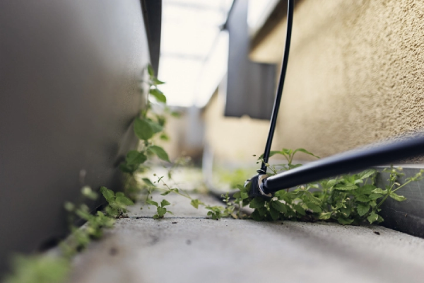Outdoor plumbing in an urban garden. | Mr. Rooter Plumbing of South Jersey