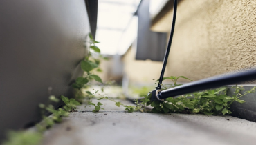 Outdoor plumbing in an urban garden. | Mr. Rooter Plumbing of South Jersey.