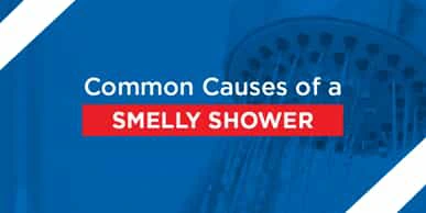 common causes of a smelly shower graphic.