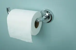 Toilet paper roll on holder.