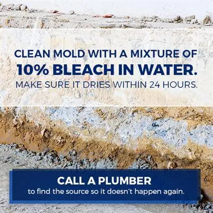 cleaning mold with bleach