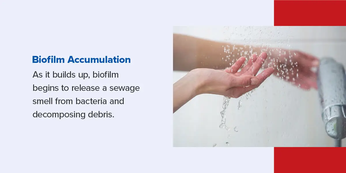 biofilm accumulation infographic.