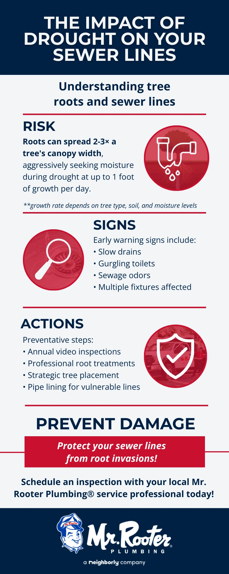 Infographic explaining how drought conditions cause tree roots to invade sewer lines, showing risk factors, warning signs, and preventative actions from Mr. Rooter Plumbing.
